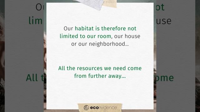 What is Ecology? смотреть онлайн