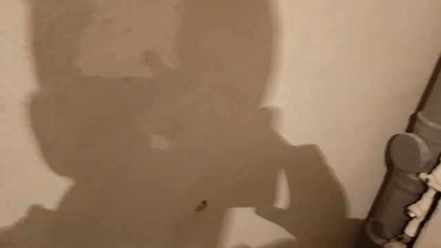 Document_5368795169669798517