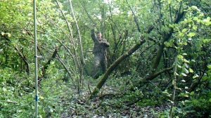 Ловля соловья