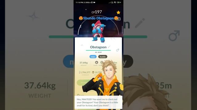 100IV Obstagoon | Shundo Obstagoon/zigzagoon | Best Shundo Pokemon | Pokemon Go смотреть онлайн