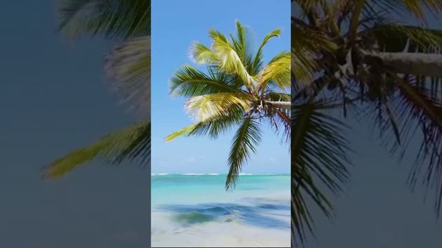 Лёгкий бриз. Дмитрий Шлапак смотреть онлайн