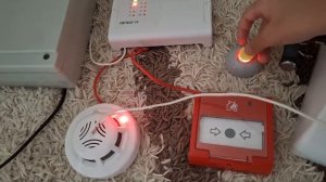 тест пожарной сигнализации на bolid