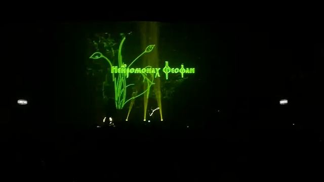 Неоромонах Феофан - Хочу в Пляс - Известия Hall - 22.06.2018 смотреть онлайн