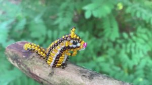 Объёмное бисероплетение / Бурундук из бисера / Фиалка из бисера / Идеи из бисера