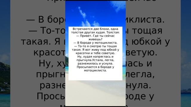 Две блохи #юмор #приколы #смех #анекдоты #шутки #радость #анекдотыновые смотреть онлайн