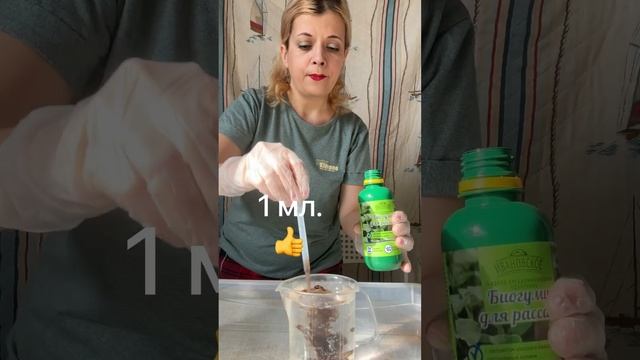 Делай как я и у тебя будут вкусные помидорчики! Первая корневая подкормка рассады томатов🍅 смотреть онлайн