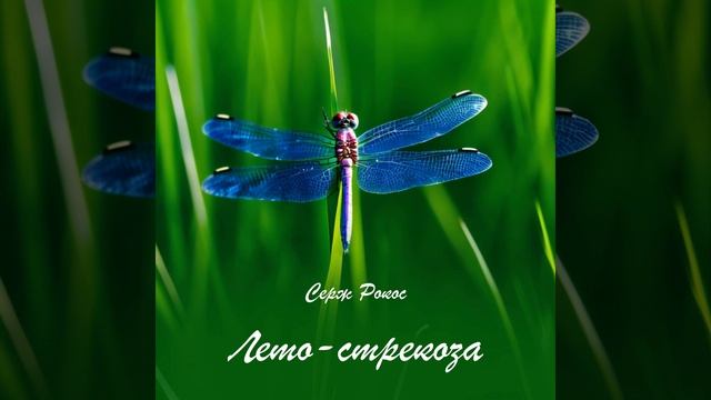 Лето - Стрекоза смотреть онлайн