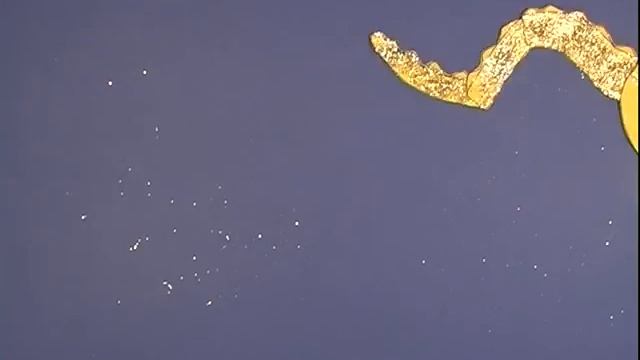 FUOCHI D'ARTIFICIO смотреть онлайн