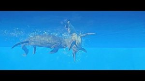 Mosasaurus All Perfect Animations 🦖 Jurassic World Evolution 2 Marine Reptiles