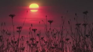 Иди до конца