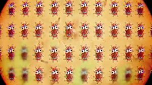 удивительный мир гамбола бактерия