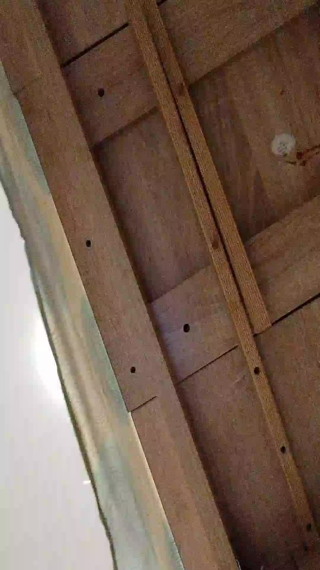 ТГ Полинусик смотреть онлайн