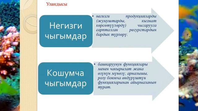 "Мыкты санарип-сабак" сынагынын катышуучусу смотреть онлайн