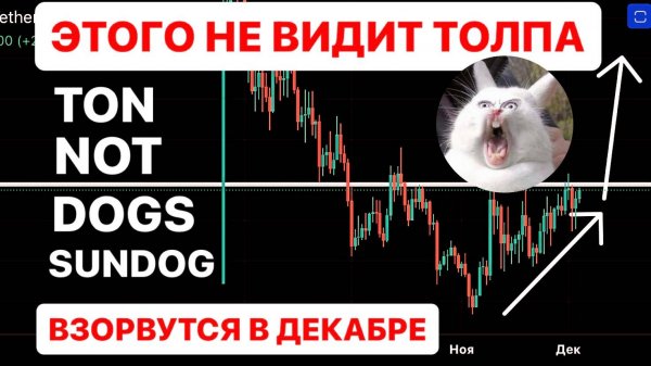 ОКАЗАЛСЯ ПРАВ НА 100%! Санта-Клаус РАЛЛИ!  Вот Что Будет Дальше. BTC, TON, NOT, DOGS, SUNDOG УЛЕТЯТ