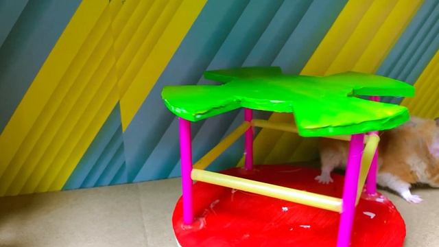 ANGEL vs DEMON CONTROL HAMSTER! Challenges In Real Life by Hamster Stories