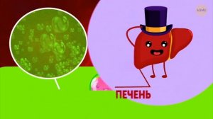 что же в вашем теле же есть?(адми(adme ) «про тело