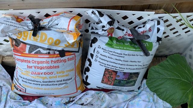 What Are Bubba's Dirty Socks Doing in the Pumpkin Patch? + 10k Tomato DIY Hammock смотреть онлайн