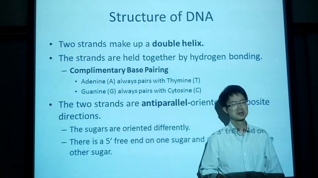 DNA Structure, Replication, And Expression 1/7