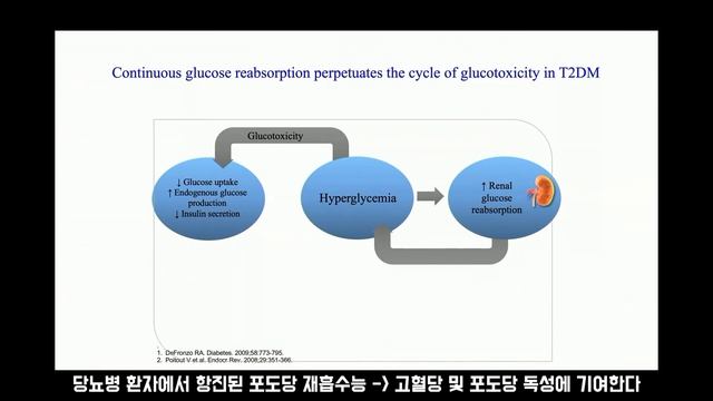 SGLT2 inhibitor 약물의 특징 смотреть онлайн