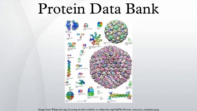 Protein Data Bank смотреть онлайн