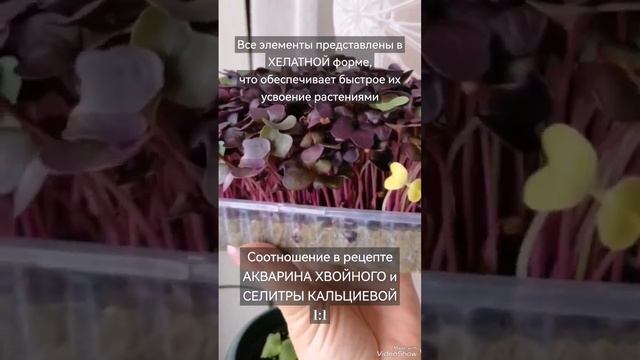 Питание для помидоров, перцев, зелени - часть 2! Для чего нужен #акварин хвойный! #томаты смотреть онлайн