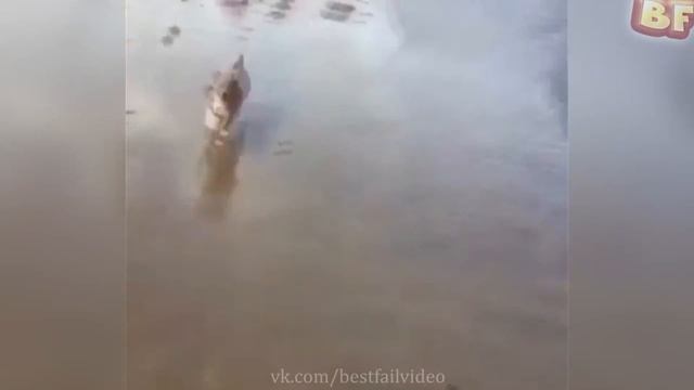 ПРИКОЛЫ 2017 Сентябрь #92 ржака до слез угар прикол - ПРИКОЛЮХА смотреть онлайн