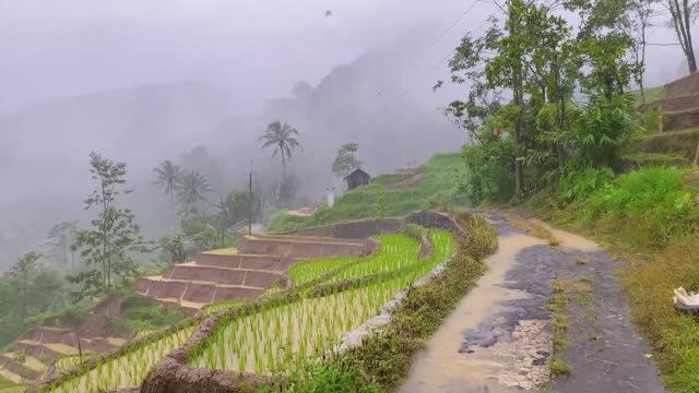 ДОЖДЛИВЫЙ ДЕНЬ В ГОРНОЙ ДЕРЕВНЕ ИНДОНЕЗИИ | РАССЛАБЛЯЮЩИЙ СПОКОЙНЫЙ ДОЖДЬ ЗВУКИ ДЛЯ СНА смотреть онлайн