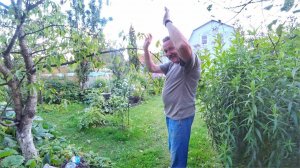 ВЛОГ Движемся к цели! 30 июля 2020