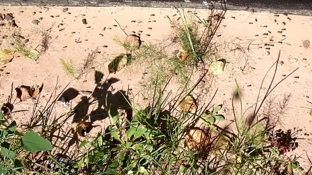 Жизнь -- суета... смотреть онлайн