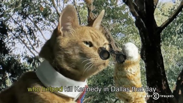 Trevor Moore: High in Church - "Kitty History"