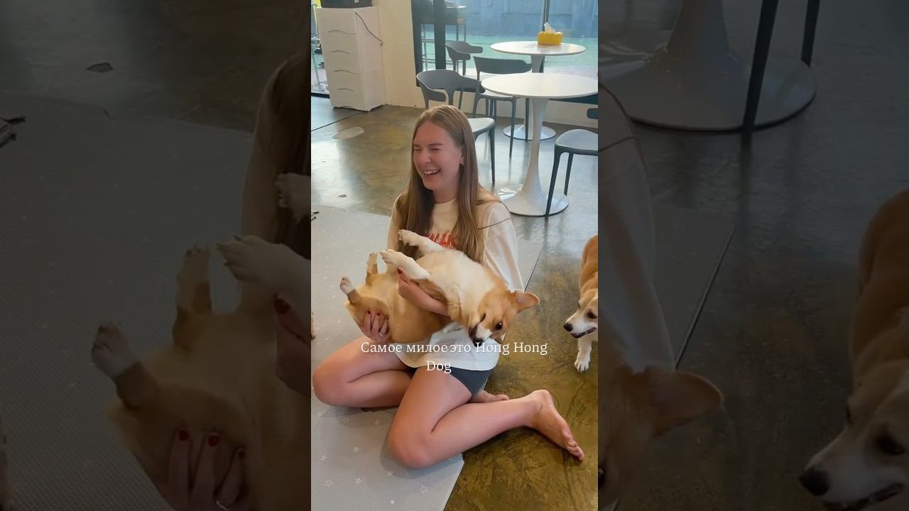 ТОП-3 КАФЕ В ПАТТАЙЕ #паттайя #таиланд #пхукет #бангкок #кафепаттайя #кудасходитьвпаттайе #блог смотреть онлайн