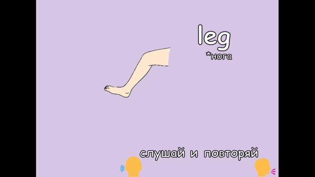 Слова по теме Body Parts 2