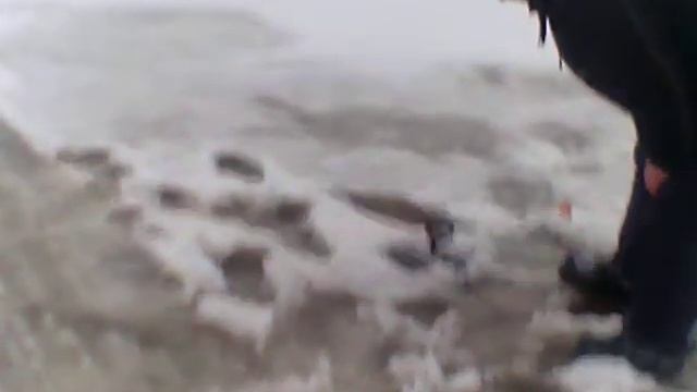 дядя Юра жгёт думал трава а там тара ра щуки сами выпрыгивают из воды смотреть онлайн