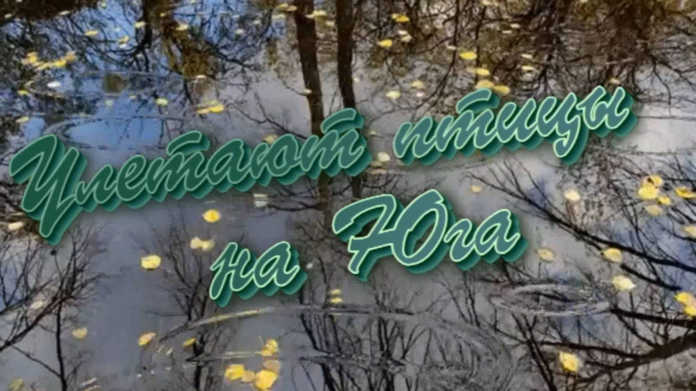 Игорь Тузов Улетают птицы на юга смотреть онлайн