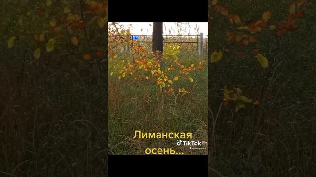 Осень в Астраханской области... смотреть онлайн