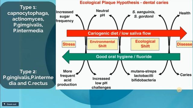 influence of systemic conditions on periodontium (Effect of Diabetes)1 смотреть онлайн