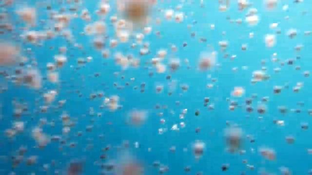 324105159 142253812029239 9123590633775127320 n смотреть онлайн