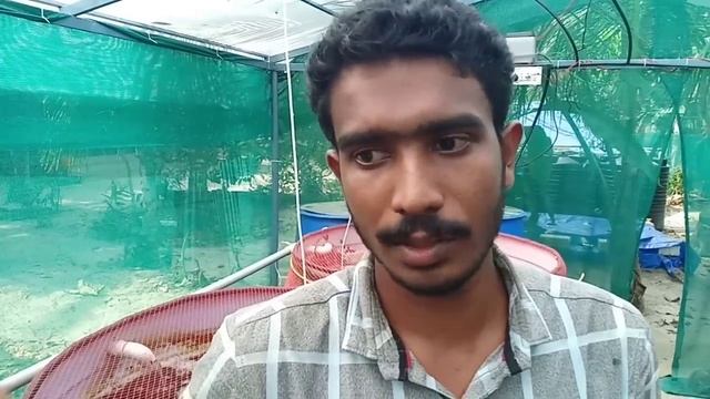 PH കൂടിയാലും കുറഞ്ഞാലും എന്ത് ചെയ്യും How to control PH level смотреть онлайн