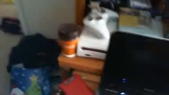 Life Cam test:D смотреть онлайн