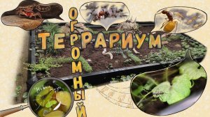 СДЕЛАЛ ОГРОМНЫЙ АКВАТЕРРАРИУМ!!!!