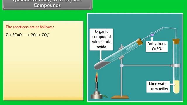 Organic Chemistry III Class 11 | CHEMISTRY | In English смотреть онлайн
