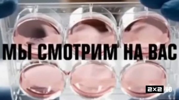 Рестарт эфира 2x2 HD, 2019