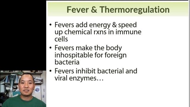 PHYL 142 | Immune | Inflammation & Fever смотреть онлайн