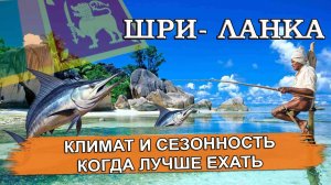ШРИ- ЛАНКА 2025| Климат и сезонность. Когда лучше отдыхать на Шри- Ланке