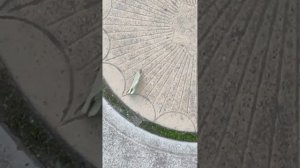 Смотреть мультик про бабочку