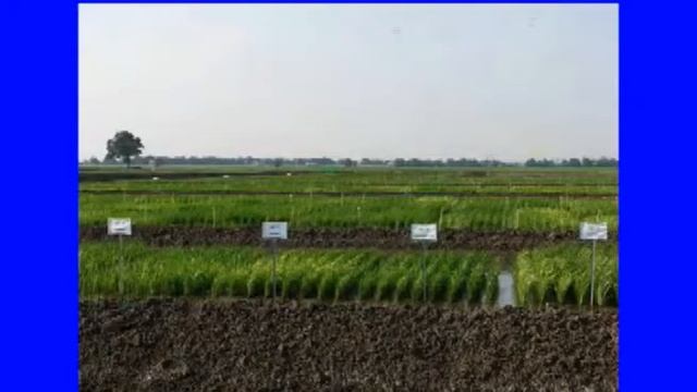 Milling Quality смотреть онлайн