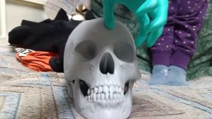 Вскрытие черепа💀