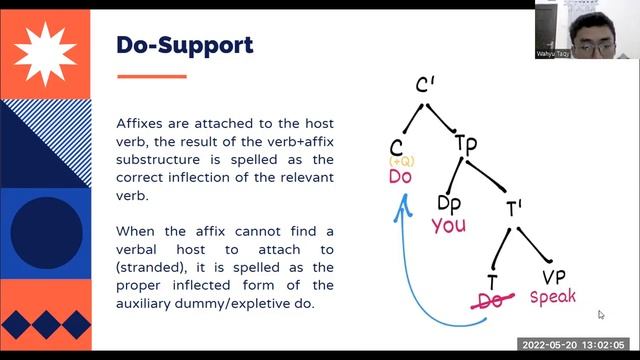 Syntax - Group 7: T to C Movement, Do-Support, Wh-Movement смотреть онлайн