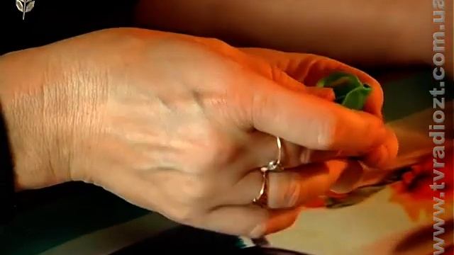 ЖОДТРК. Ранок. Капуста з пластиліну смотреть онлайн