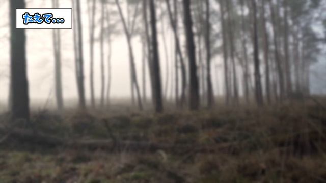 【閲覧注意・2ch面白いスレ】「検索してはいけない言葉」をワイが検索して絵にしていくww【ゆっくり解説】